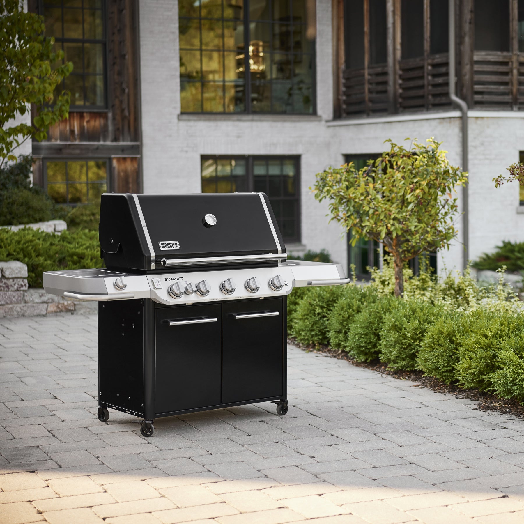 Summit® FS38 Gas Barbecue Black