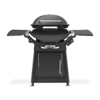 Weber® Family Q®+ Premium (Q3200N+) Gas Barbecue