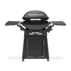 Weber Family Q+ Premium (Q3200N+) Charcoal Grey LP | New Oct 26