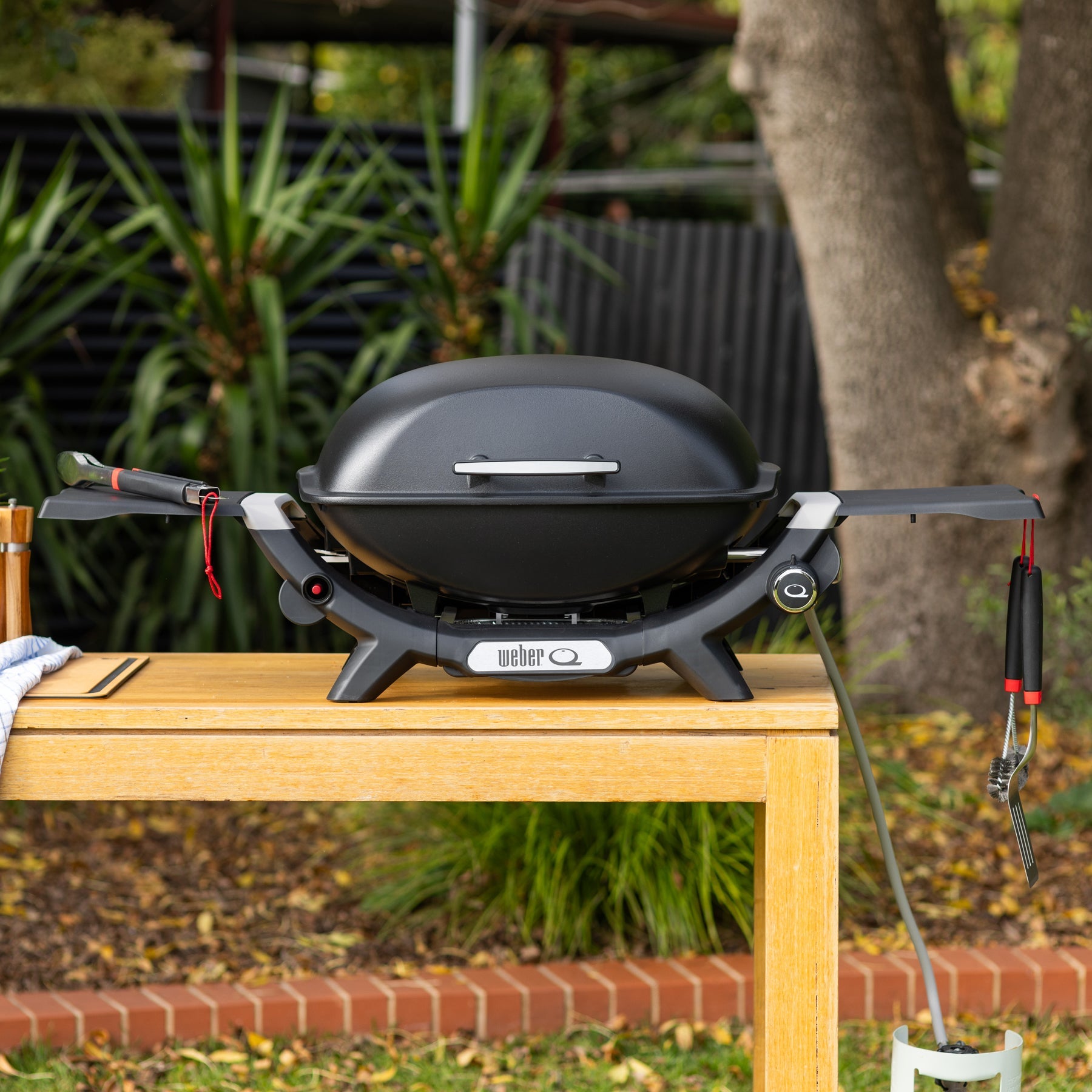 Weber® Q® (Q2000N) Gas Barbecue (LPG)