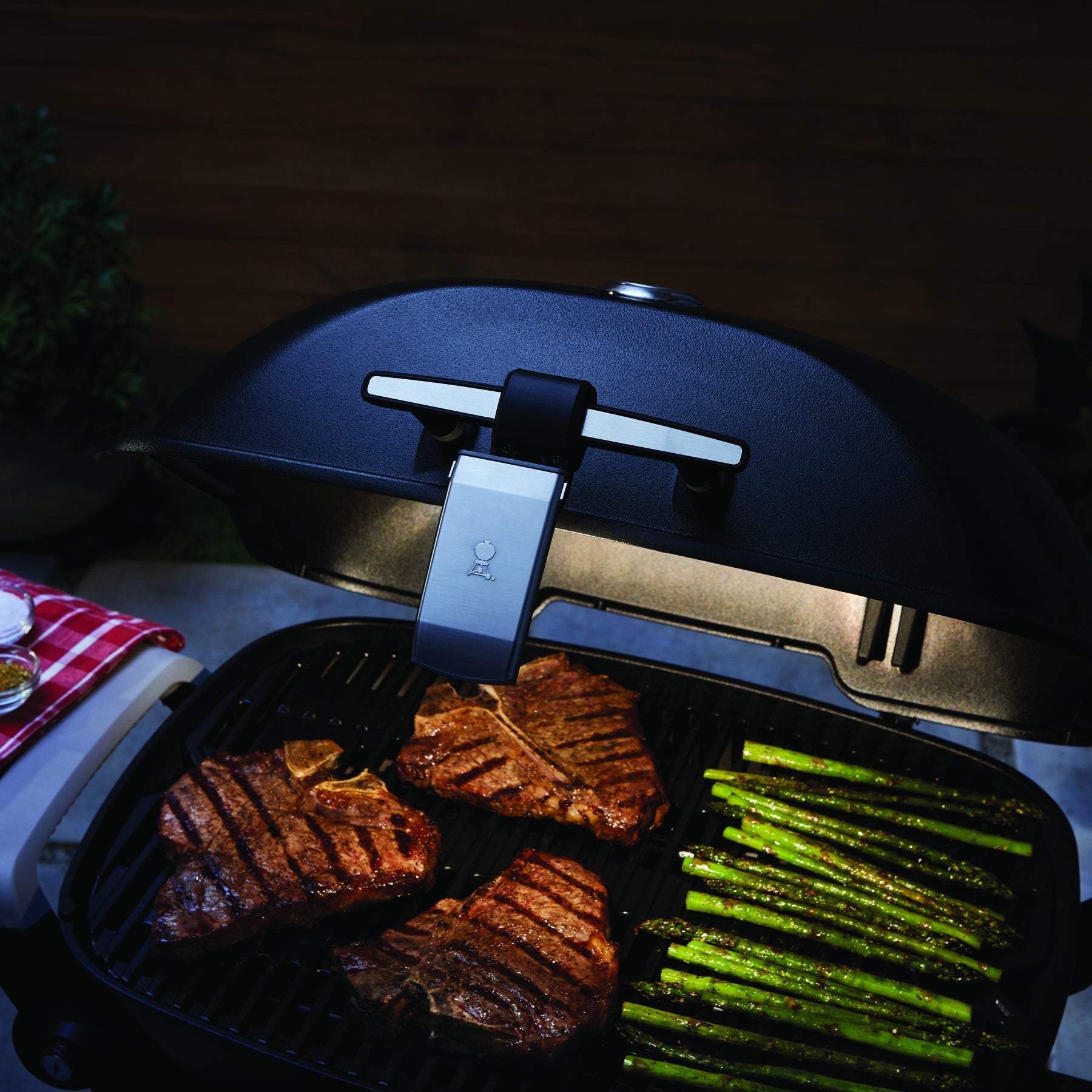 Baby Q® and Q™ Grill 'n' Go Light