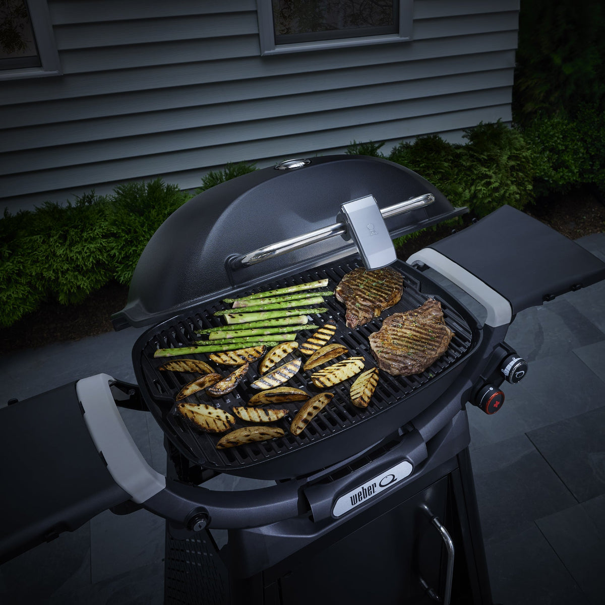 Weber Grill 'n' Go Light