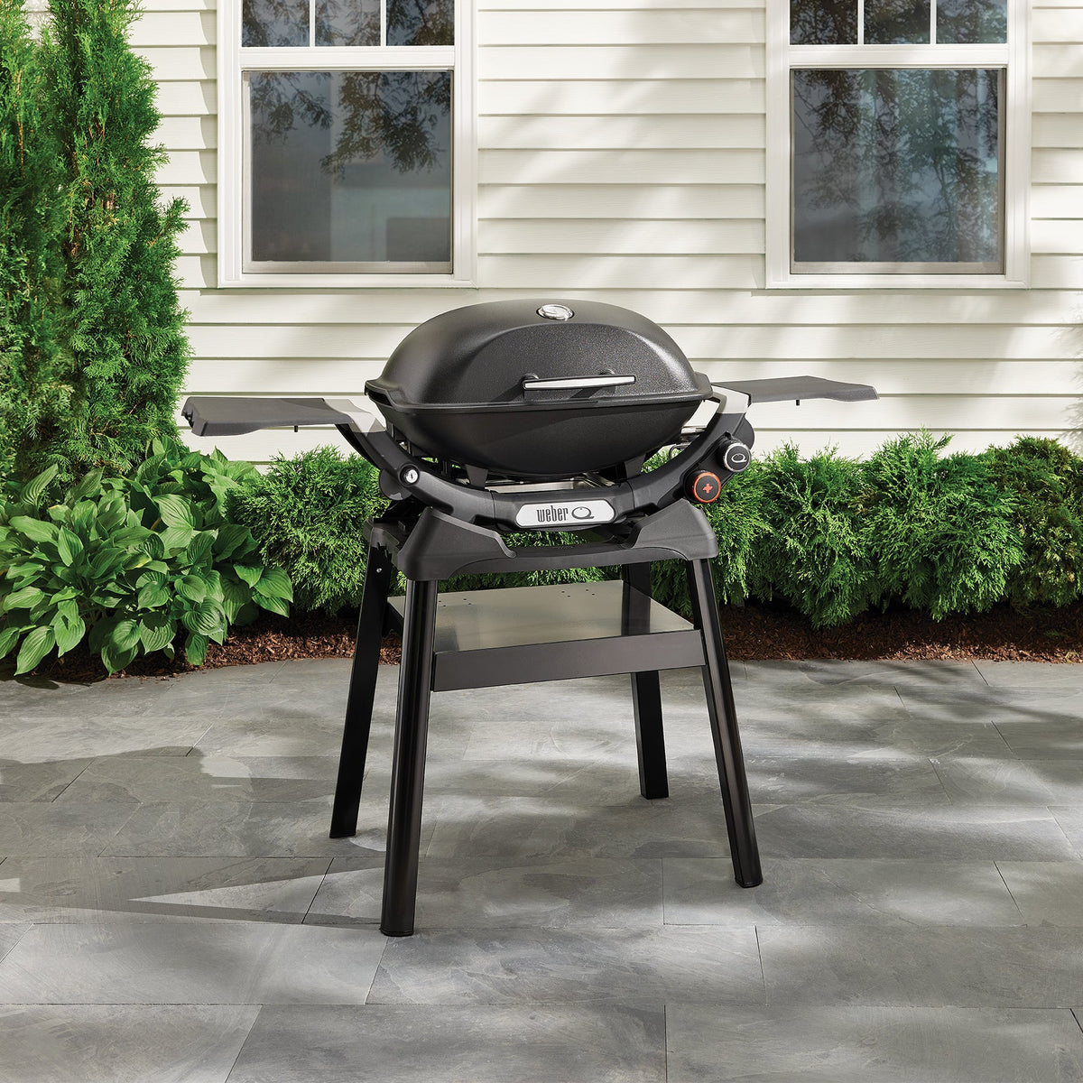 Weber® Baby Q® and Q™ Compact Stand