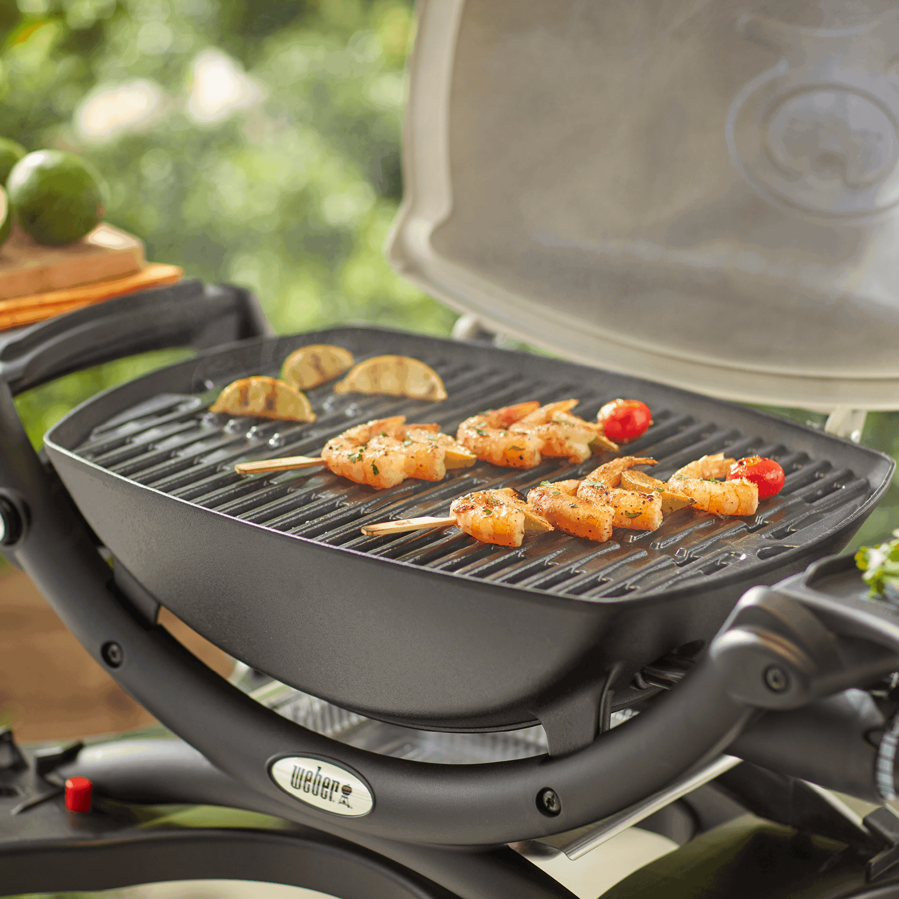 Baby Q® Cooking Grills (suits Classic 1st and 2nd Gen)