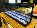 Ambe 49" Multi Electric Fireplace