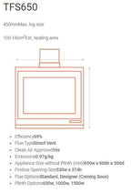 Escea TFS650 Freestanding Wood Fire