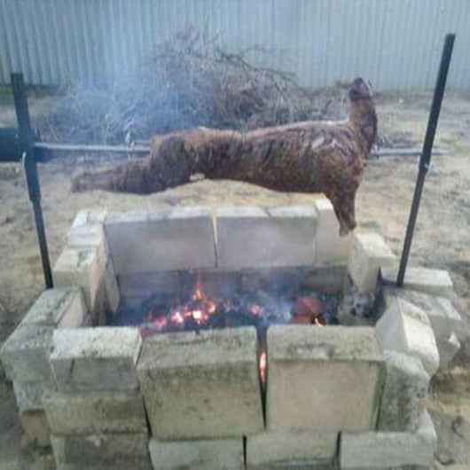 Flaming Coals BBQ Spit Rotisserie Set - 12/240v 20kg rated motor