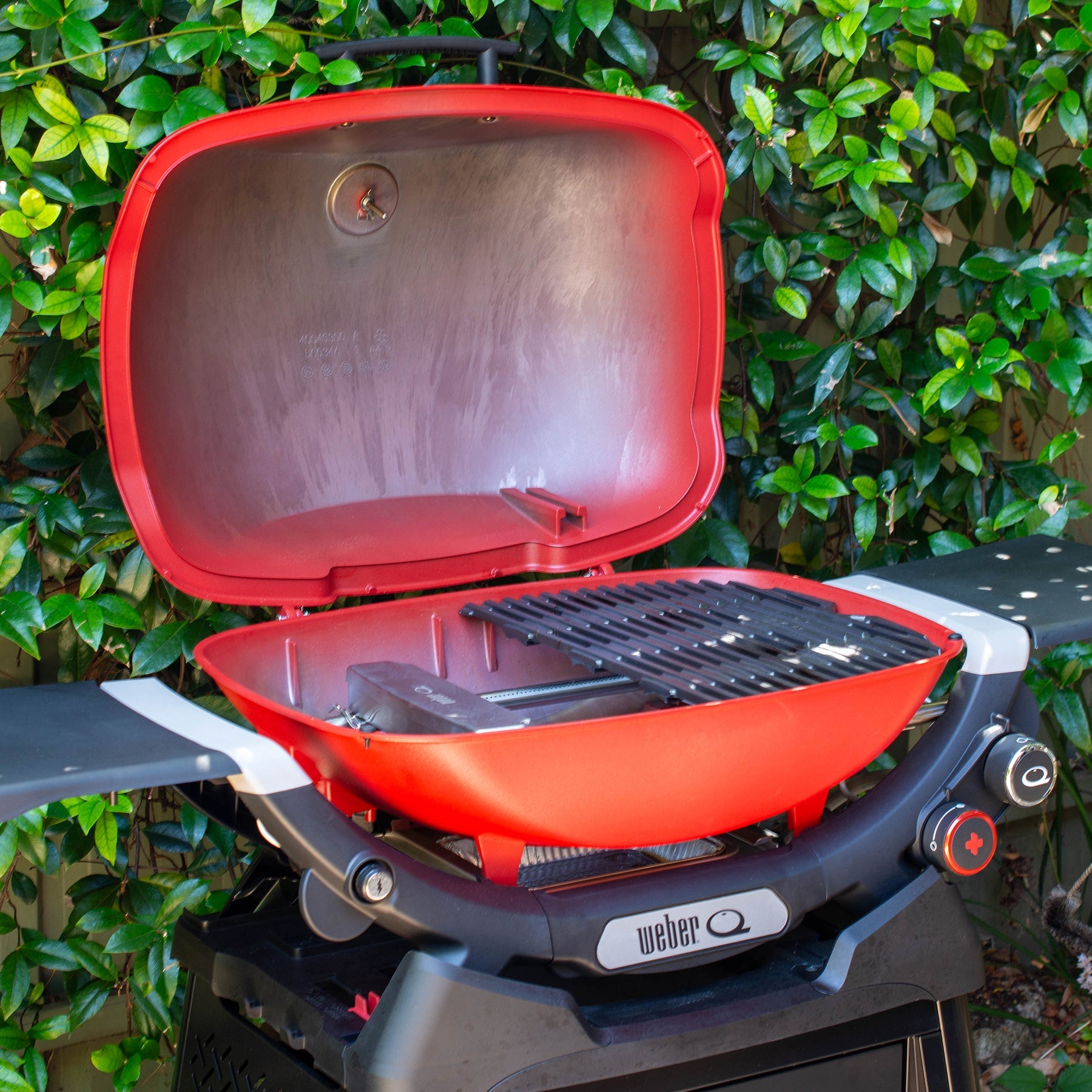 Weber® Smoker Box and Trivet Set – Weber Q™/Family Q®
