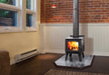 Regency Narrabri F100B F/S Wood Fire Black