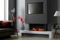 Rinnai ES1000 Electric Log Fire