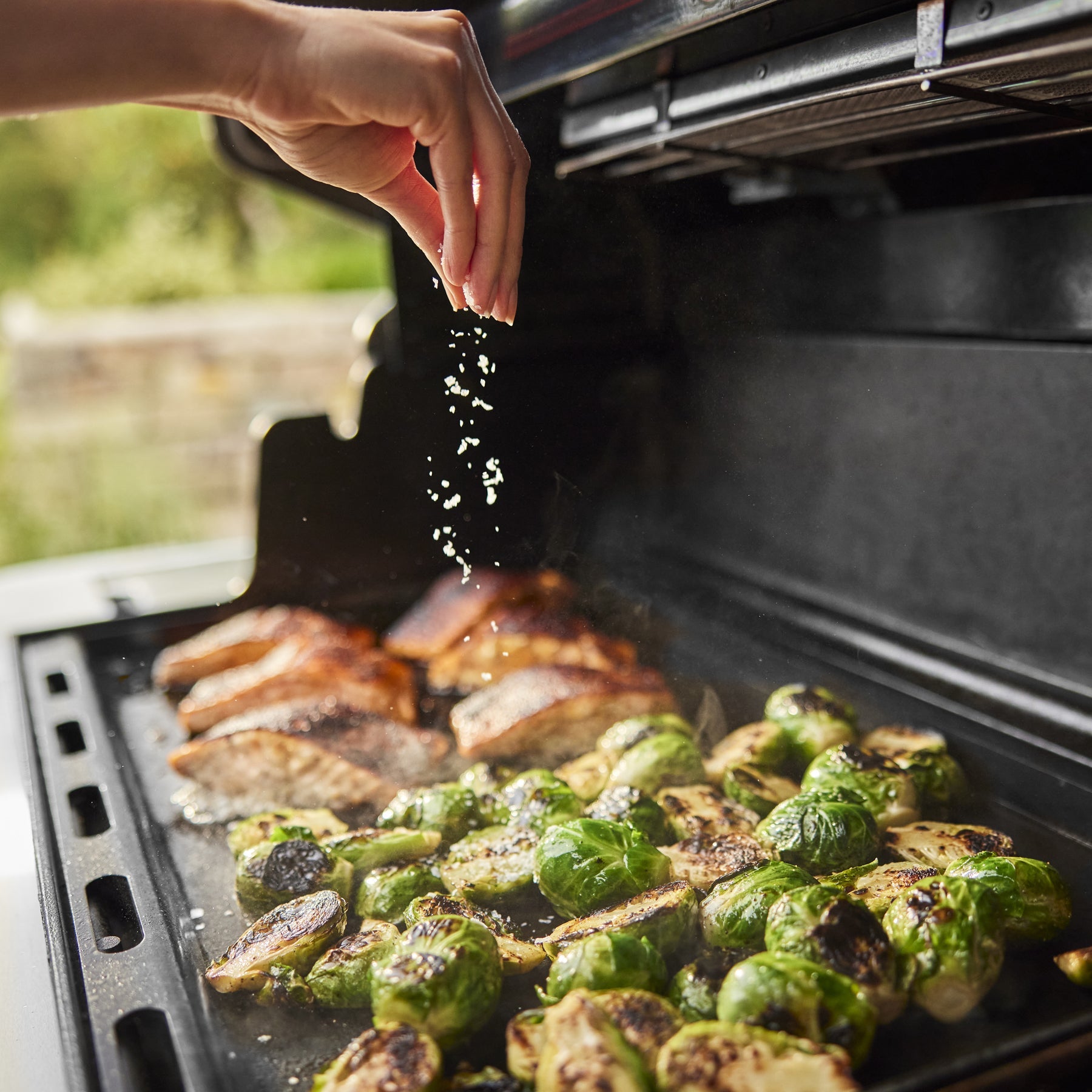 Summit® FS38 Gas Barbecue Black