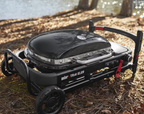 Weber Traveler compact