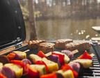 Weber Traveler compact
