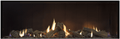 Escea DS1400 G3 Single Sided Fireplace LPG