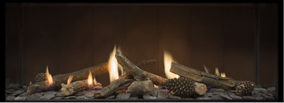 Escea DS1150 G3 Single Sided Fireplace LPG