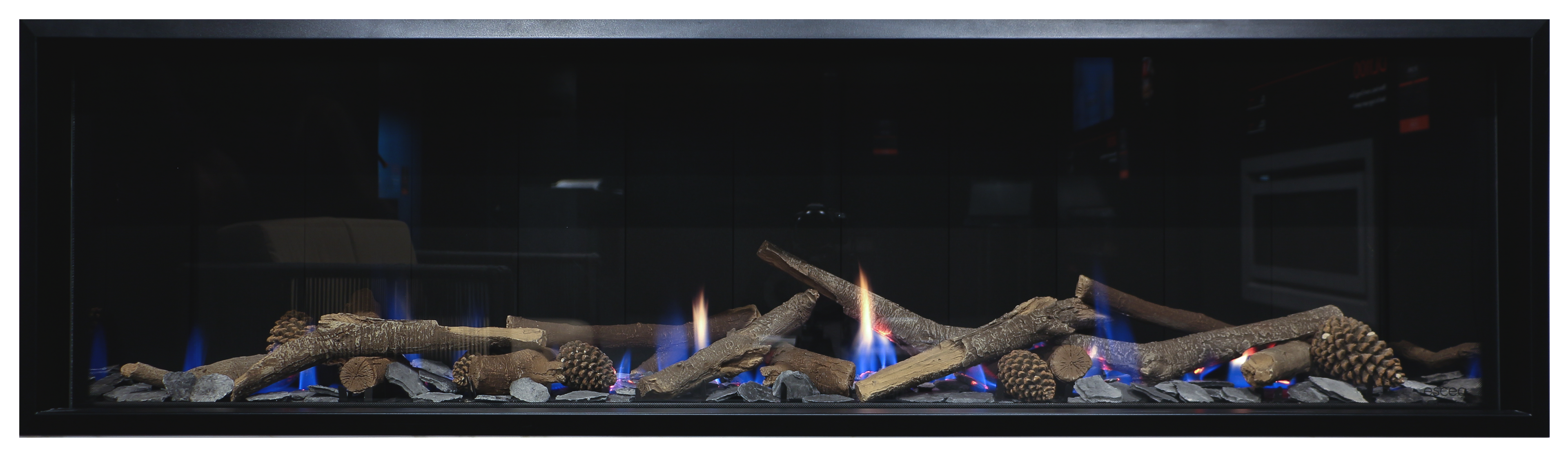 Escea DS1650 G3 Single Sided Fireplace LPG