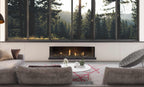 Escea DS1650 G3 Single Sided Fireplace LPG